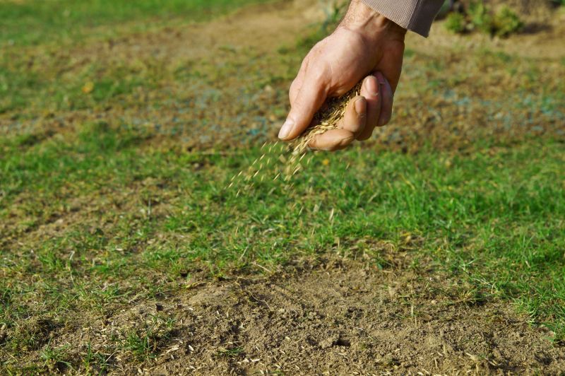 Lawn Top Dressing in Autumn