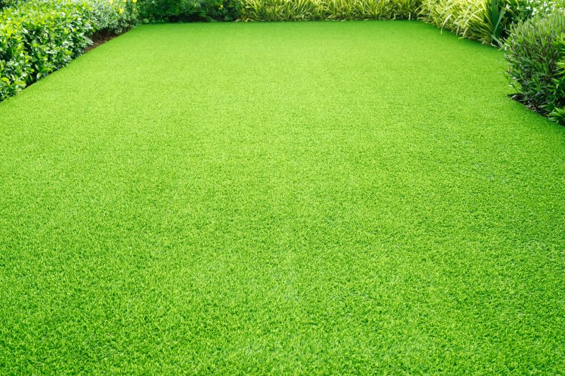 Healthy Lawn After Treatment